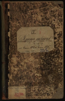 Księga uchwał Rady miejskiej od sierpnia 1883 do grudnia 1887. T. IX