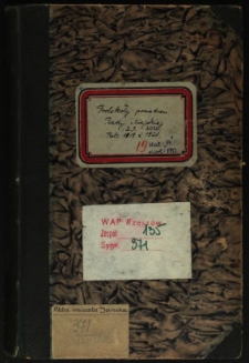 Protokoły posiedzeń Rady Miejskiej. Rok 2.1.1919-30.12.1920