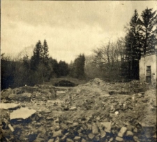 59. Resztki domu w Załużu