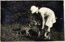 4. [Wanda Wiktor karmiąca sarenki]