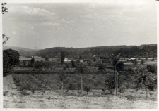 24. Widok z sadu. Załuż, 1937