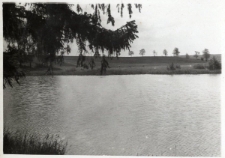 39. Staw w Dublanach