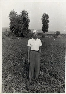 56. M. Viscontini. Załuż, 1937