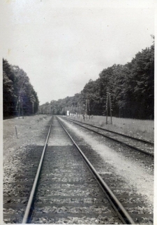 77. [Fragment linii kolejowej. Załuż, 1938]