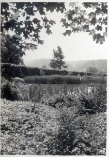 105. Staw w Załużu