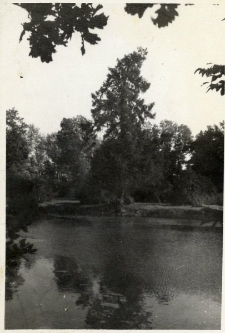 112. Staw przed dworem. Zarszyn, 1938