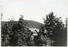 139. Paproć. Załuż, 1938