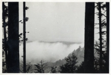 194. W dolinach Sanu ścielą się mgły. Z polowań na rogacze. Załuż, 1939