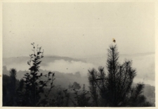 198. W dolinach Sanu ścielą się mgły. Z polowań na rogacze. Załuż, 1939