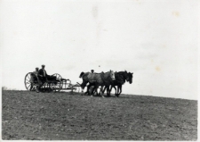 268. [Prace polowe. Załuż, 1939]