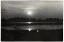 31. [Staw w Zarszynie]