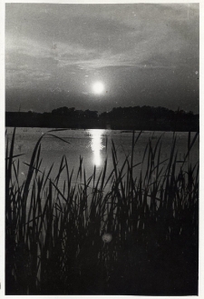 32. [Staw w Zarszynie]