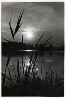 33. [Staw w Zarszynie]