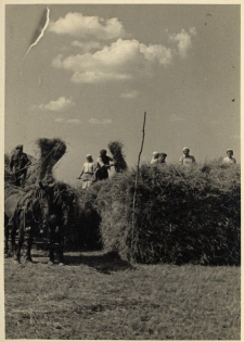 68. Żniwa. Zarszyn, 1942
