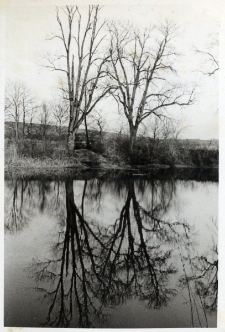 75. Stawy przed domem w Zarszynie. 1942