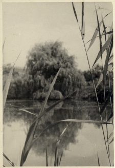 119. Widoczki z Czudca i Nowej Wsi. 1943