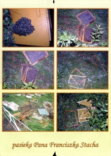 Pasieka Pana Franciszka Stacha