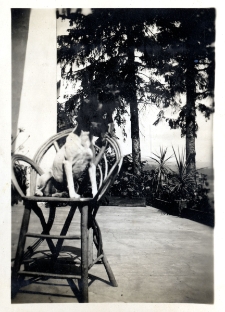 37. Załuż. 1932 [Fotografia sytuacyjna]