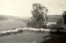 115. [Taras widokowy Pałacu w Średniej Wsi. Średnia Wieś, 1931]