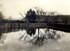 136. Staw w Załużu