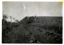 9. Szparagi i kapusta. Załuż, 1934