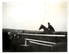 117. [Konkurs hippiczny w Iwoniczu. Jeździec podczas skoku. Iwonicz, 1934]