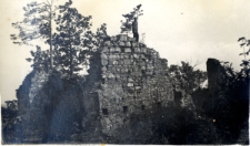 47. Ruiny zamku Kmit&oacute;w