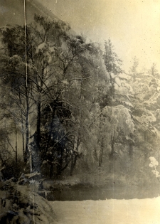 66. Staw w naszym ogrodzie. Załuż, 1937