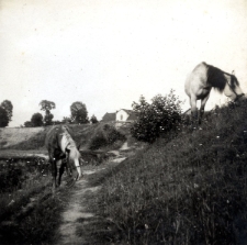 131. Na przedmieściach Lwowa. 1939