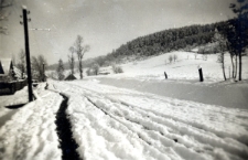 176. [Krajobraz zimowy]