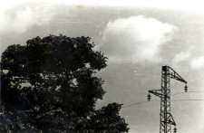 17. [Drzewa i słup energetyczny na tle nieba]