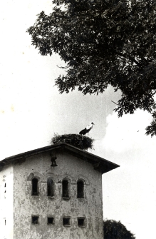 24. [Bocian w gnieździe na dachu budynku]