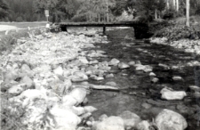 50. [Rzeka z kamienistym fragmentem brzegu]