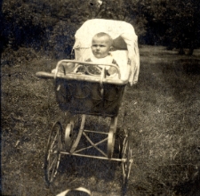 A. Wiktor w ogrodzie. Załuż